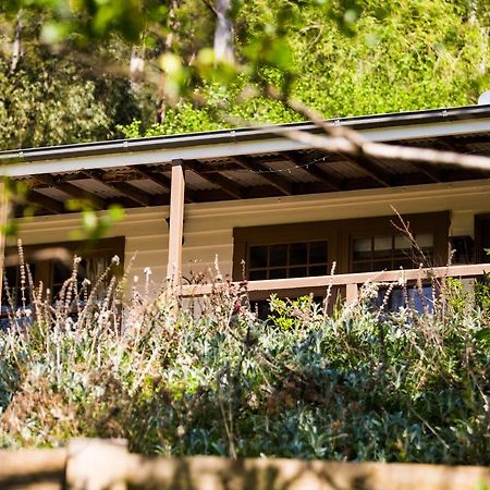 Buttercup Hill Bed & Breakfast Warburton Luaran gambar