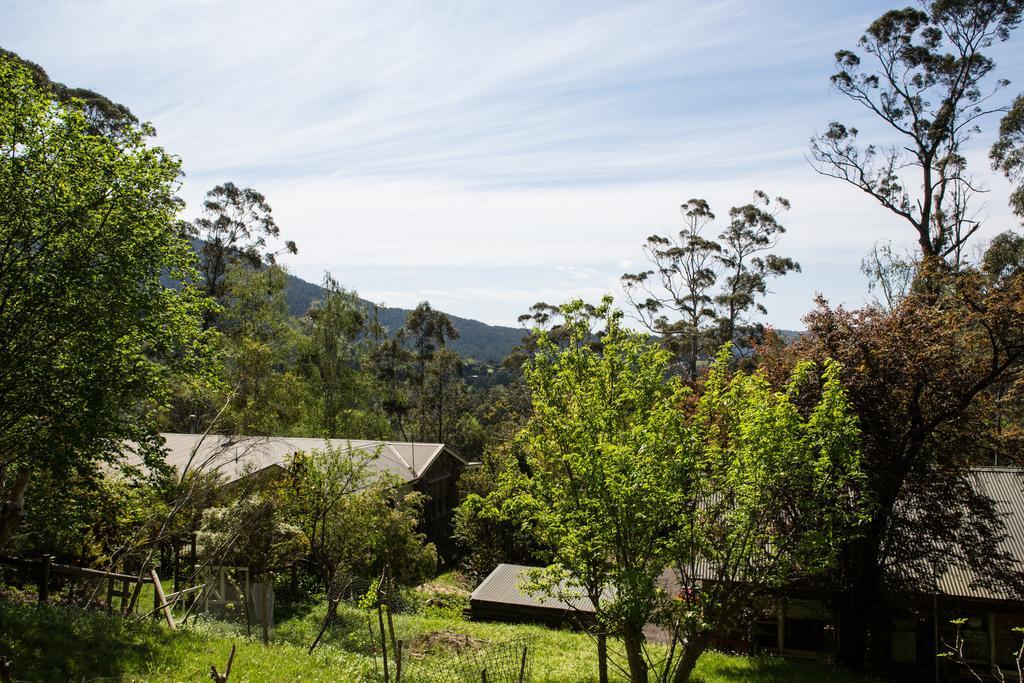 Buttercup Hill Bed & Breakfast Warburton Bilik gambar