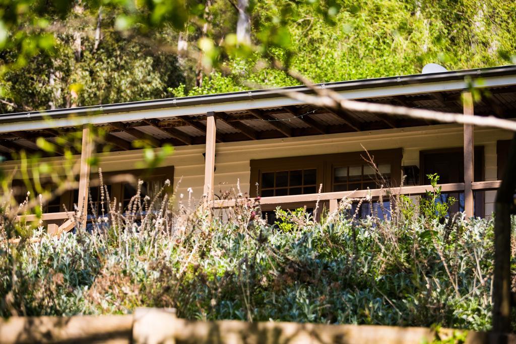Buttercup Hill Bed & Breakfast Warburton Luaran gambar