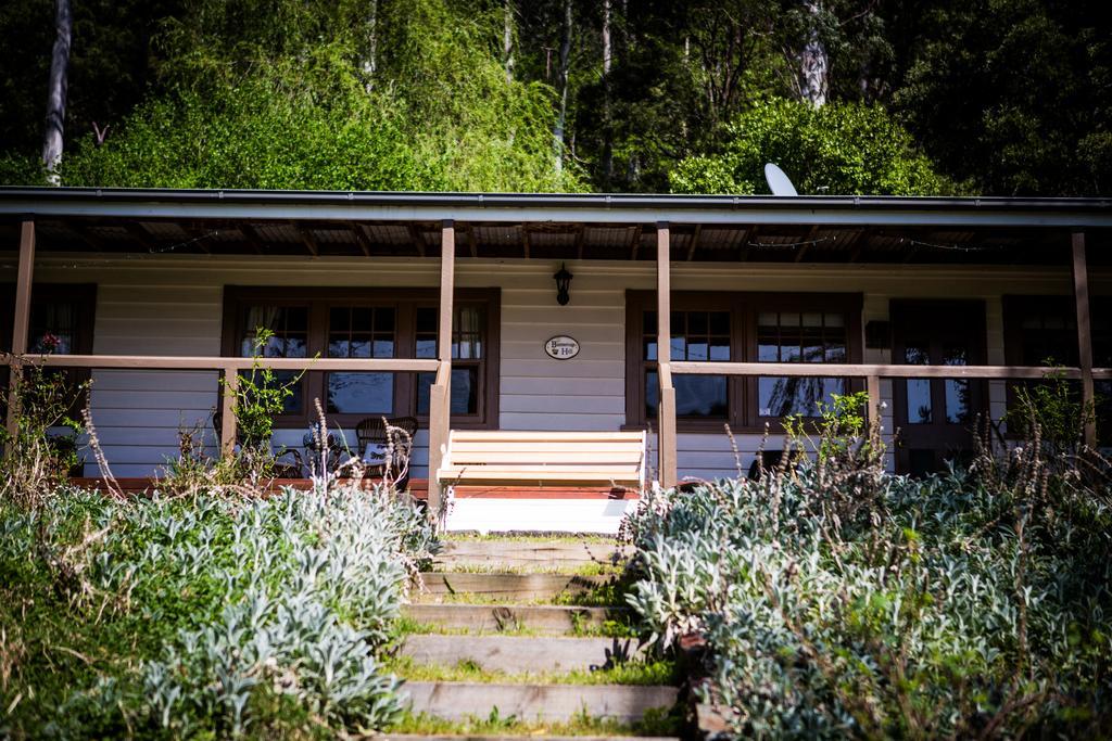 Buttercup Hill Bed & Breakfast Warburton Luaran gambar