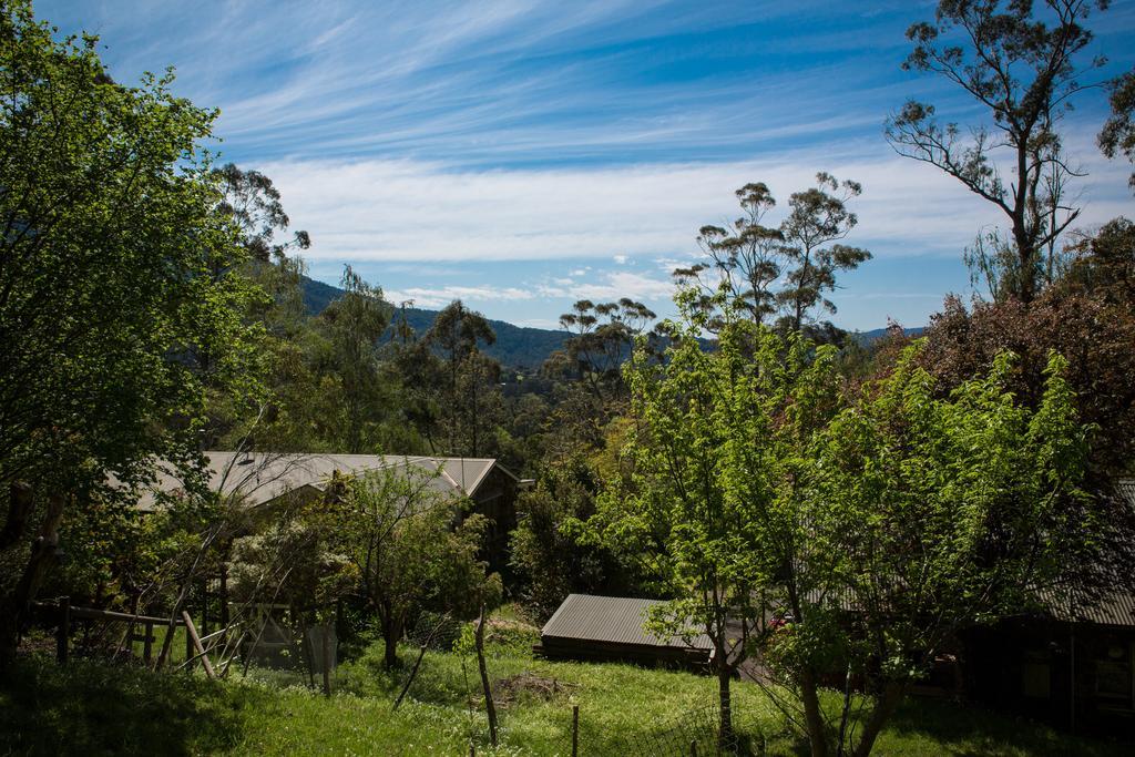 Buttercup Hill Bed & Breakfast Warburton Luaran gambar